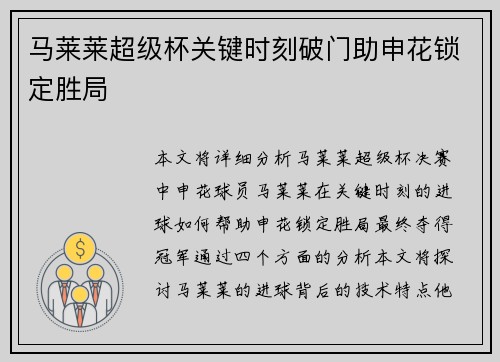 马莱莱超级杯关键时刻破门助申花锁定胜局